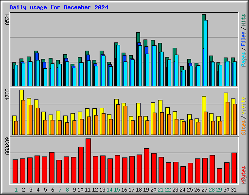 Daily usage for December 2024