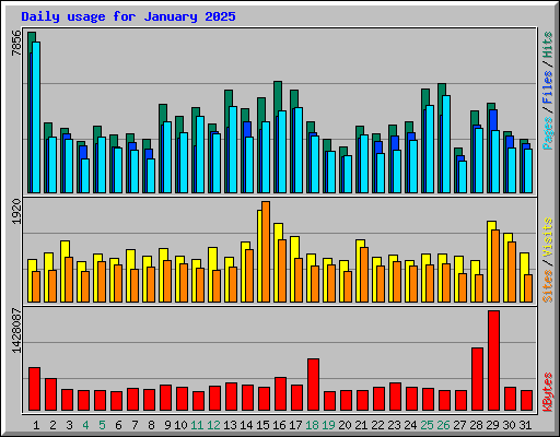 Daily usage for January 2025