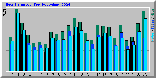 Hourly usage for November 2024