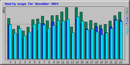 Hourly usage for December 2024