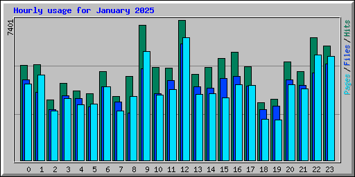 Hourly usage for January 2025