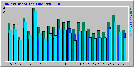 Hourly usage for February 2025