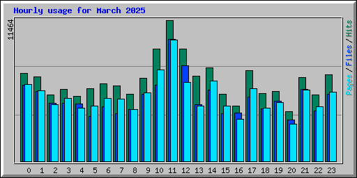 Hourly usage for March 2025