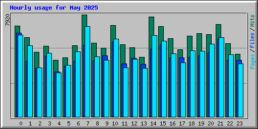 Hourly usage for May 2025